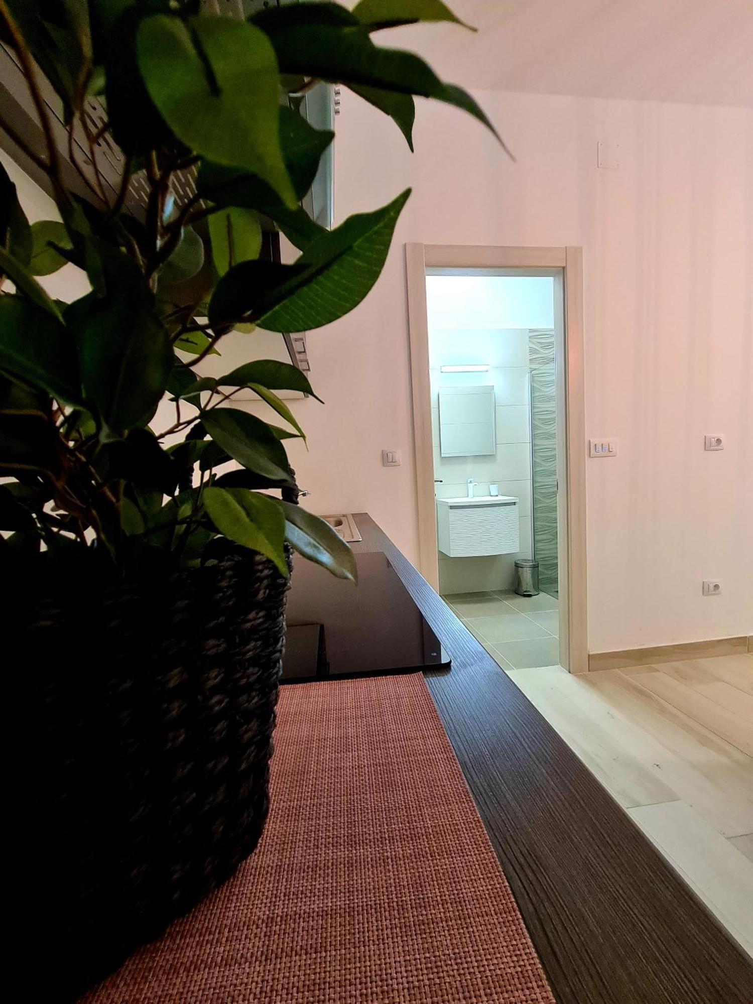 プーラPolei Istriaアパートメント 部屋 写真